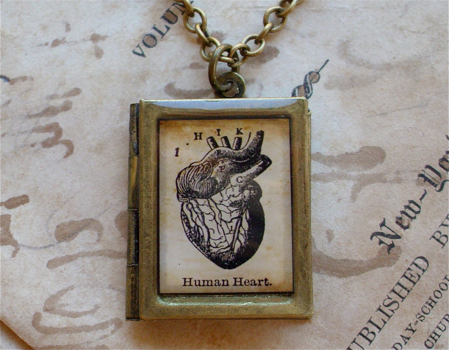Anatomical Heart Locket Necklace - Book of Love - Antique Anatomical Print Locket w/ Chain in Brass