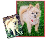 custom pet portrait DOG PAINTING original oil painting pomeranian dog puppy art great gift 14x18 made to order by Heather Wallace