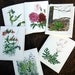 Handmade invitations Watercolor Botanicals Set of 6