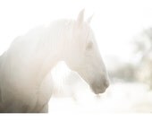 Horse photography - White horse print - horse wall art - white horse photo - surreal, dreamy, fantasy, whimsical horse art 20 x 30"