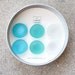 Glass Gem Magnets - Trinidad Teal FREE SHIPPING