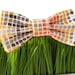 Dog bow tie... Orange,yellow, grey and brown mosaic print...From the "Woofstock" collection....