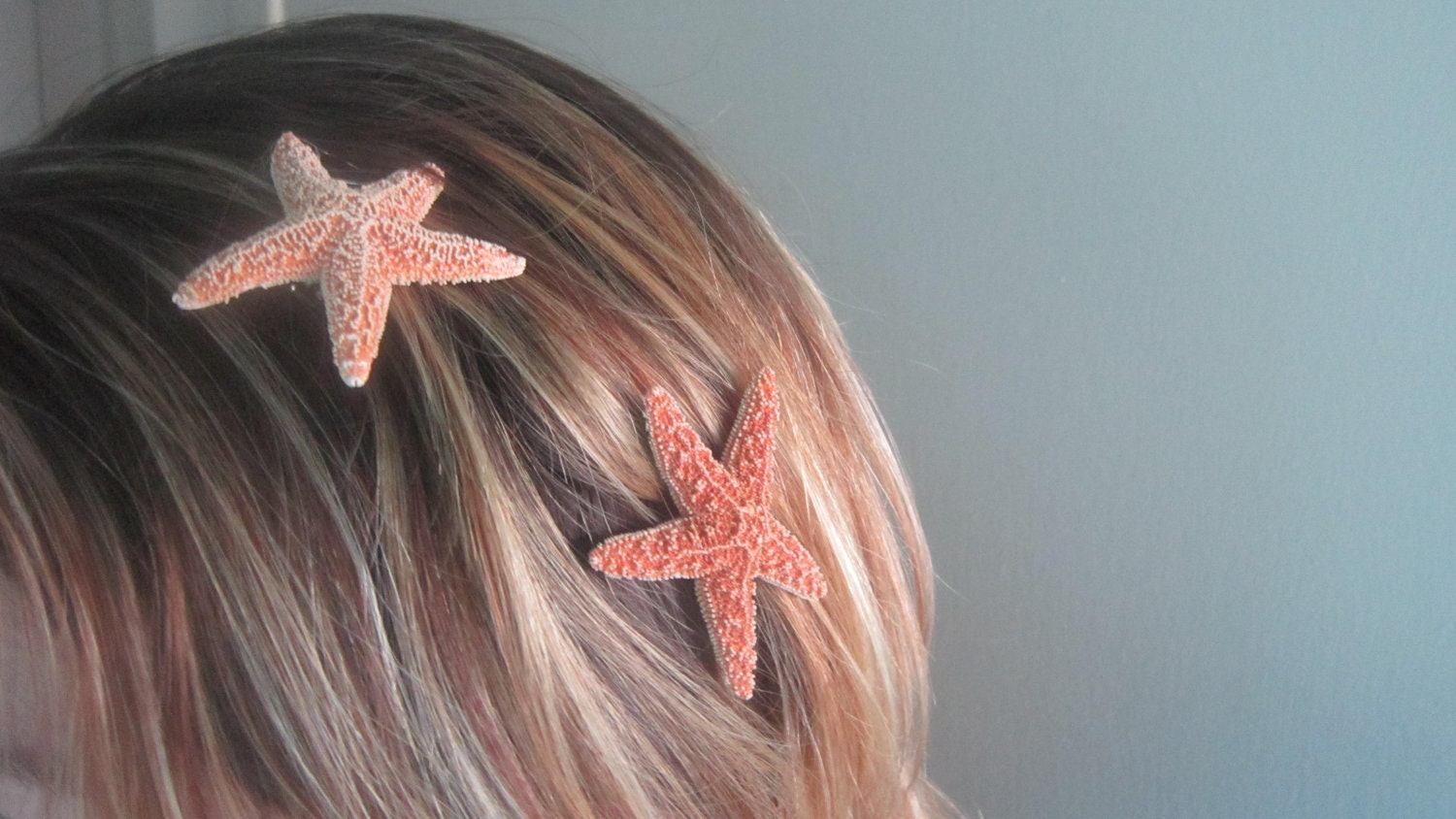 Starfish Hair Clips