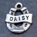 Dog Tag Small Dog ID Tiny Tag Lucky Horseshoe Pet ID Tag