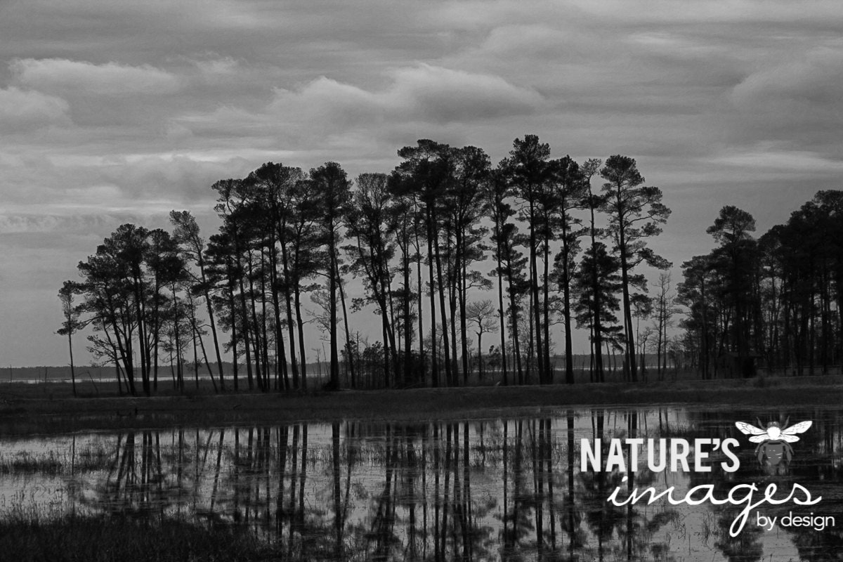 Maryland Sunset Image, Landscape Photograph, Black and White Photography, Photography Wall Art, gifts under 40, Home Decor, 8X12 Print