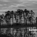 Maryland Sunset Image, Landscape Photograph, Black and White Photography, Photography Wall Art, gifts under 40, Home Decor, 8X12 Print