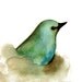 Blue Bird Print from my Original Watercolor Painting