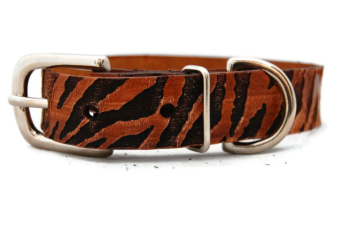Leather dog collar / 1 inch  - Brown Zebra / Cool dog collar