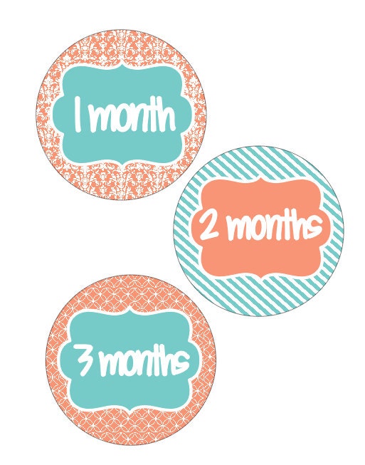 Monthly Baby Onesie Stickers Il_170x135