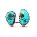 the Turquoise Orbit Ring