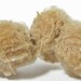 Gypsum Selenite Desert Roses Crystal Cluster Free US Shipping