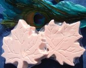 Apple Cinnamon Scented Natural Goat's Milk Soap Maple Leaf