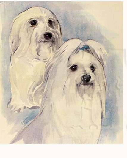 Two Pets on one painitng