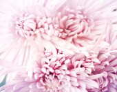 Dreaming in Pink