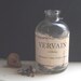 VERVAIN POTION BOTTLE Verbena Herb Halloween Vampire Hunter Twilight Dracula Curiosity