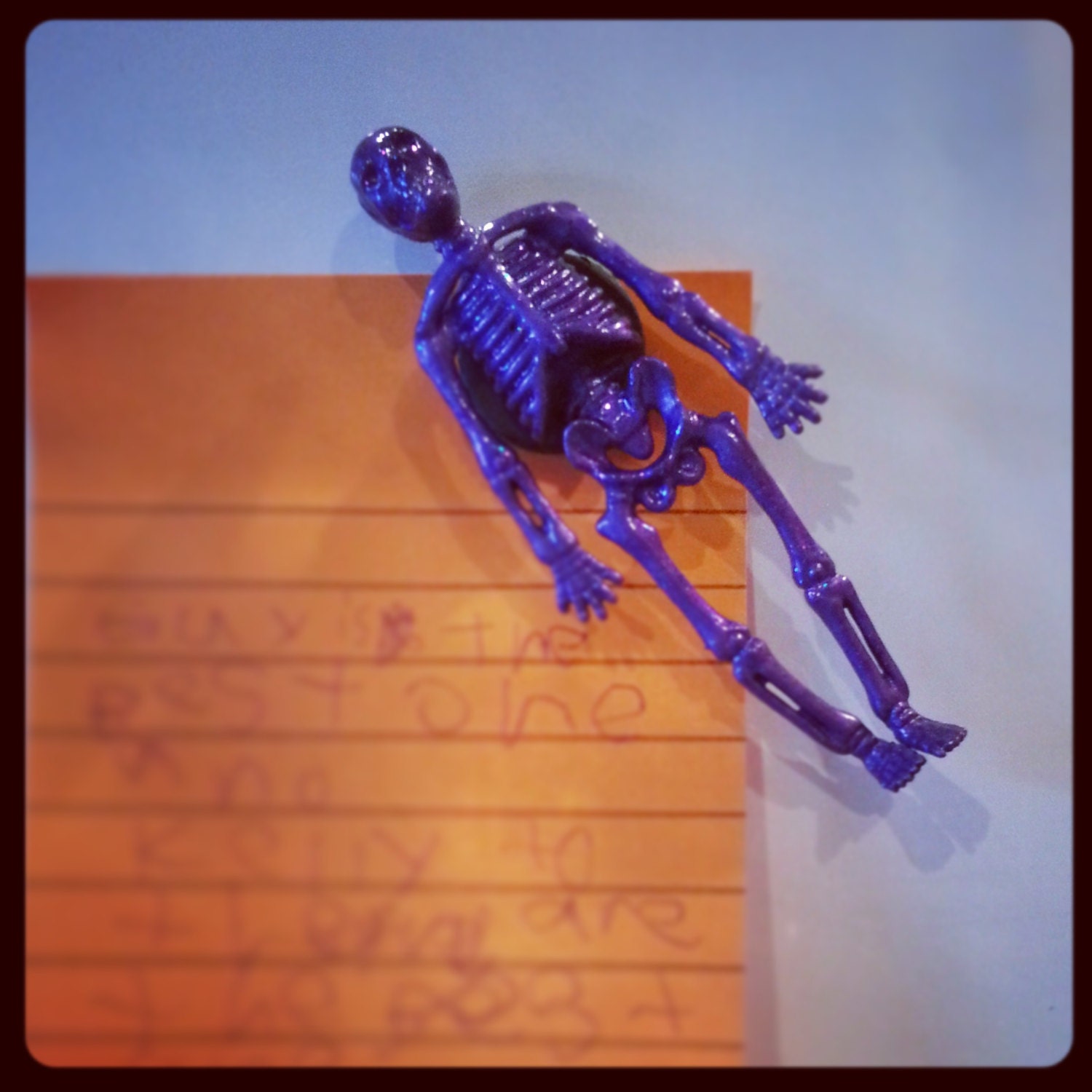 Skeleton Magnet