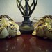 Cute Set of Vintage Ceramic Puppy Dog Eyeglass Holder/Rest