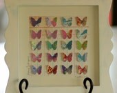 Paper Butterfly Shadowbox (Butterfly Breeze)