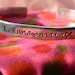 Hakuna Matata aluminum bracelet 1/4 inch wide Lion stamped on the inside