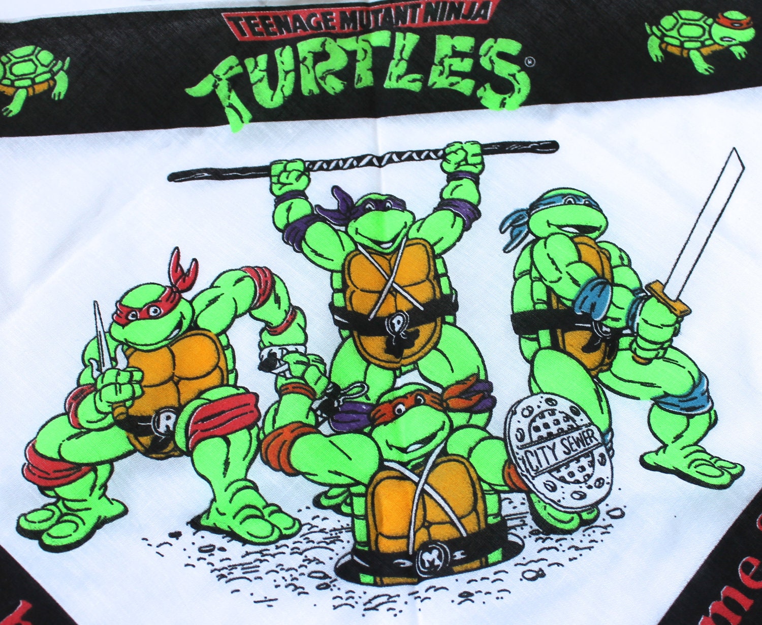 Ninja Turtles Bandana