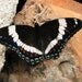 Butterfly Greeting Card - White Admiral