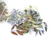 Jungle Safari Die Cut Leaves or Leaf Confetti: 150 Green, Brown, & Blue