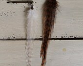 Feather Hair Clips