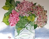 Botanical Flower Watercolour Hydrangea Pink Limited Edition Giclee Print