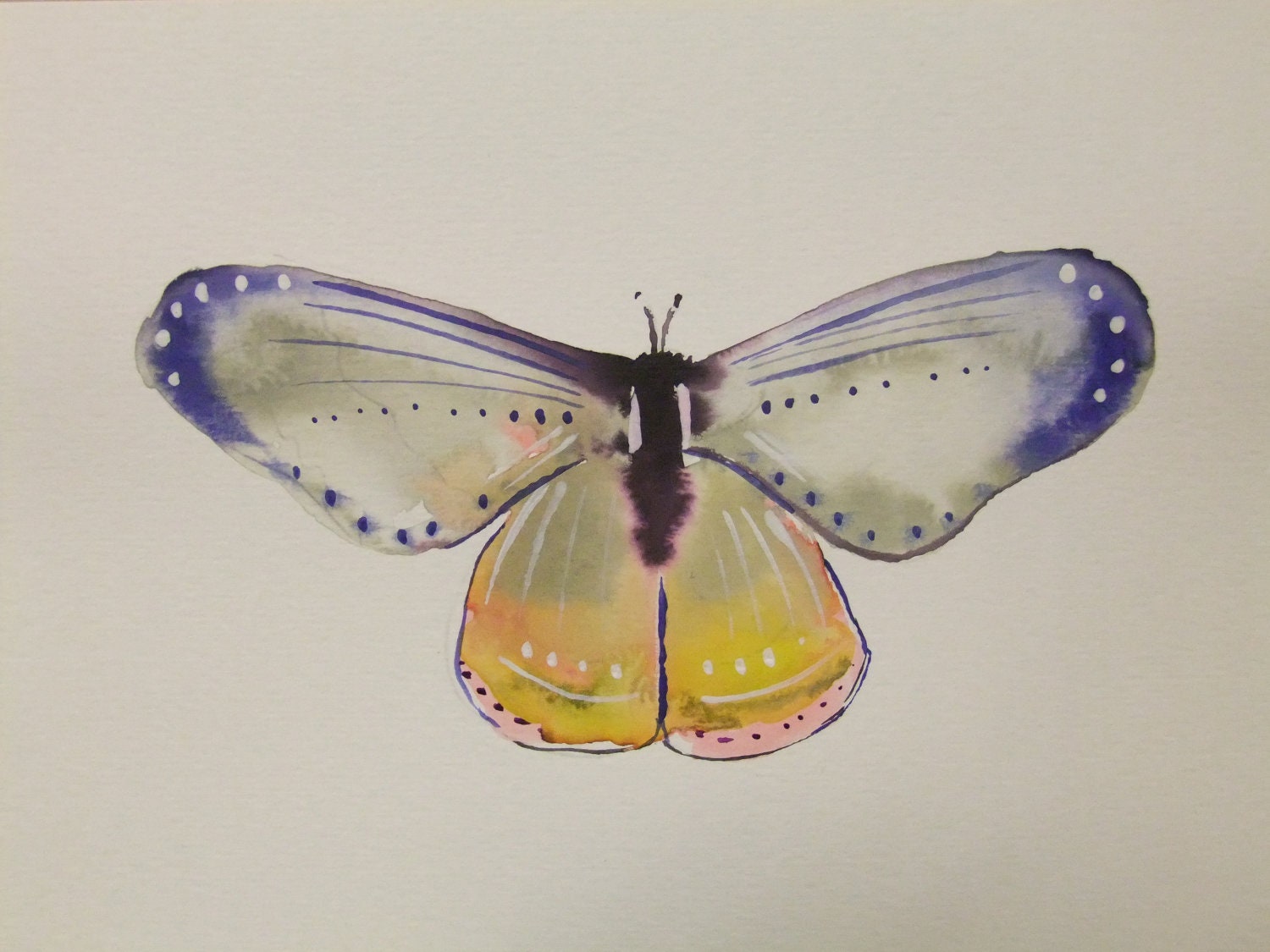 Original Watercolor Painting-Moth