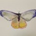 Original Watercolor Painting-Moth