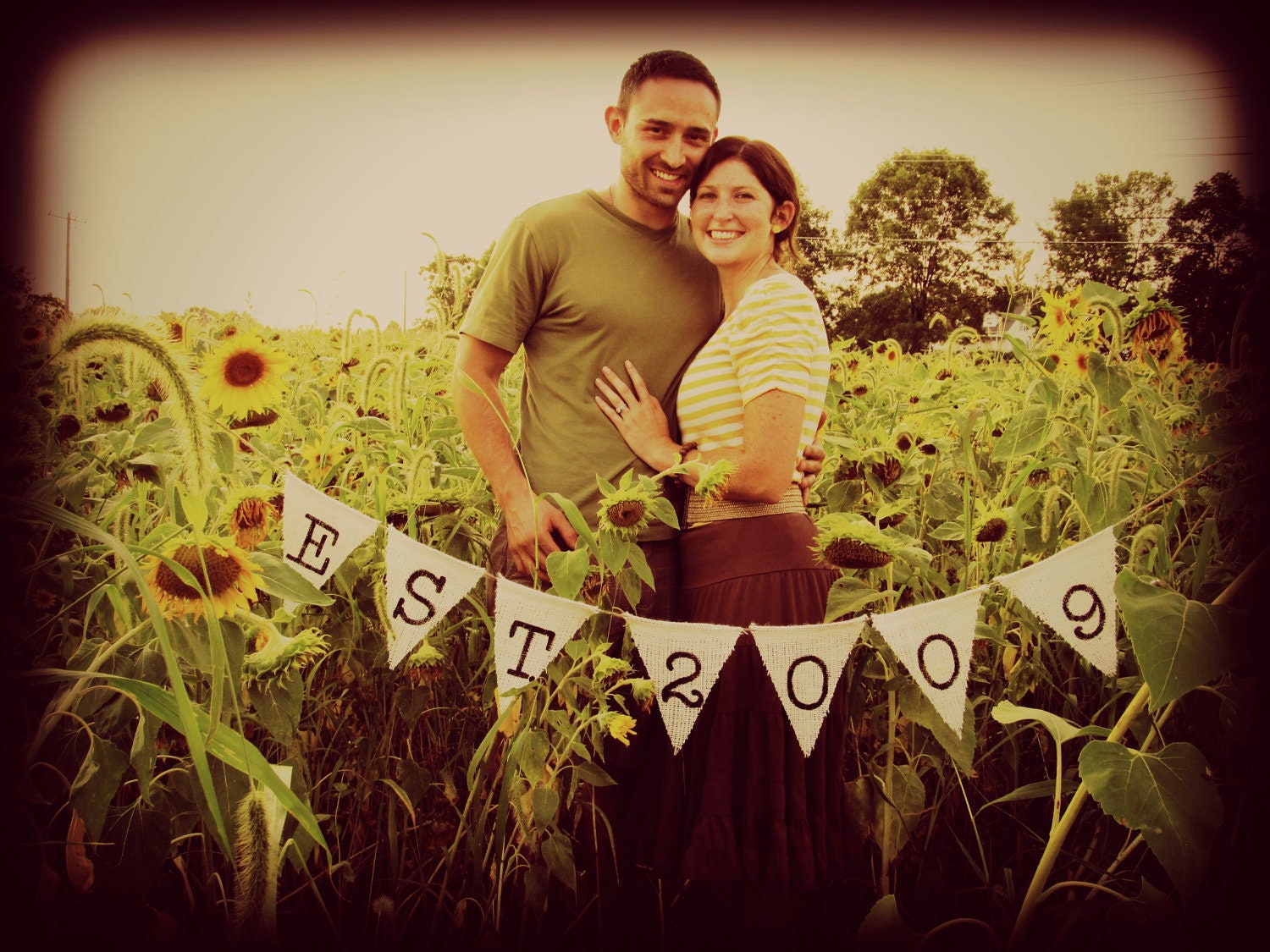Established Banner