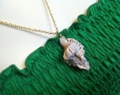 Natural Hawaiian large conch shell necklace