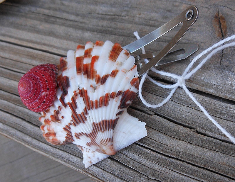 Scallop Hair Clip - Handmade Seashell Hair Accessory designed with Natural Seashells and Snap Hair Clip