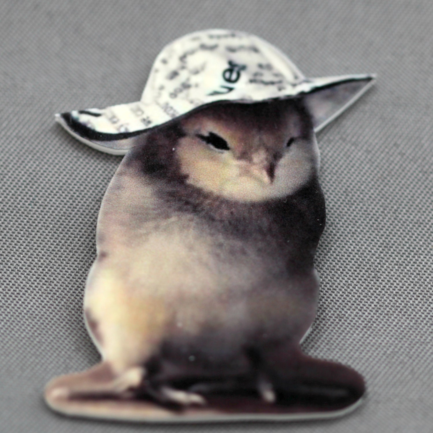Chick In A Floppy Newsprint Hat Magnet