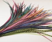 Long Feather Extensions, Hair Feathers Extensions Your Choice Of Colors 7 to 10 inches 5  long feathers your choice of grizzly, or solids