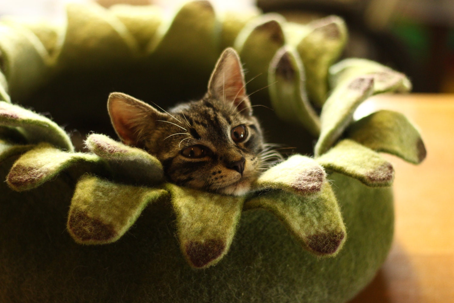 Cat bed/cat house/cat cave/ houseleek felted cat bed