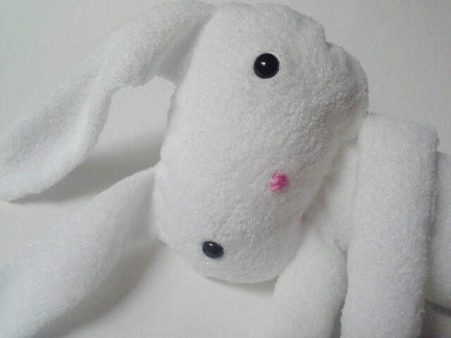 Baby Washcloth Rag Doll Bunny