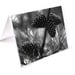 Note Card Set, 8 Black and White Nature Cards, Pine Tree Art Photography