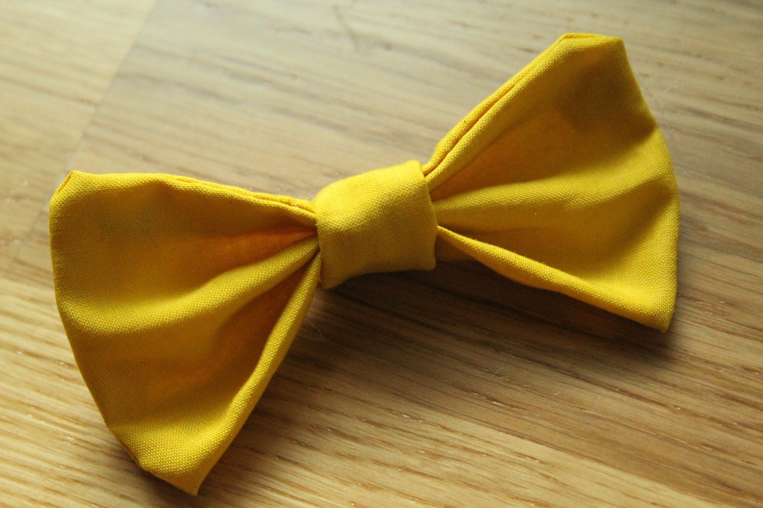 The Yellow Submarine  Cat Bow Tie