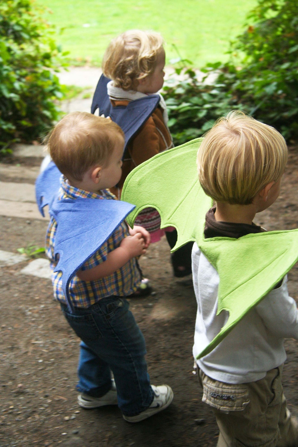 Dragon Wings
