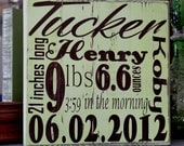 Personalized Child's Birth Information Nursery Art Decor for Baby Custom Wood Sign