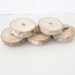 5 Maple Wood Magnets Rustic Tree Branch Home Decor