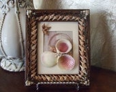 Custom Antique Wooden Frame with Sea Shell 3-D Sculpture, Matted, Gift Idea, Beach Decor, Embellished Frame