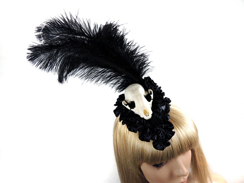 Goth fascinator with real animal skull taxidermy Burlesque victorian