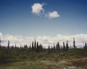 color film photograph, alaska, landscape, travel photo, photography