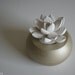 White Succulent Sculpture in Modern Round Container, Desktop Accessory, Tabletop Centerpiece