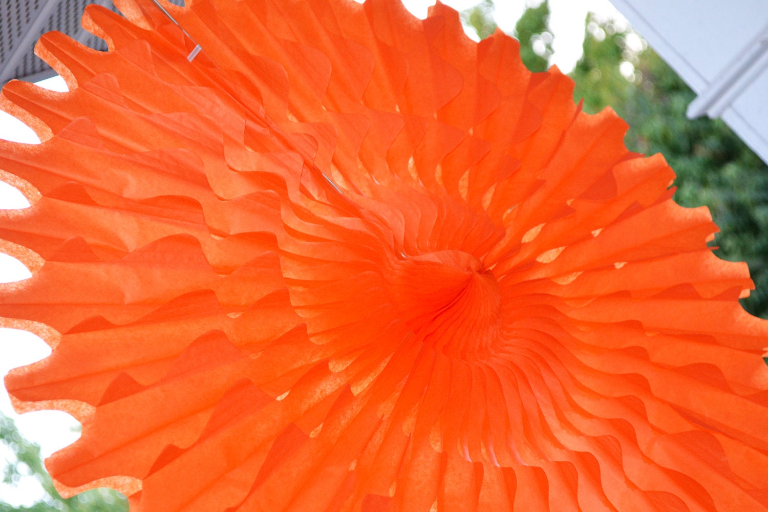 Orange Party Fans Il_170x135