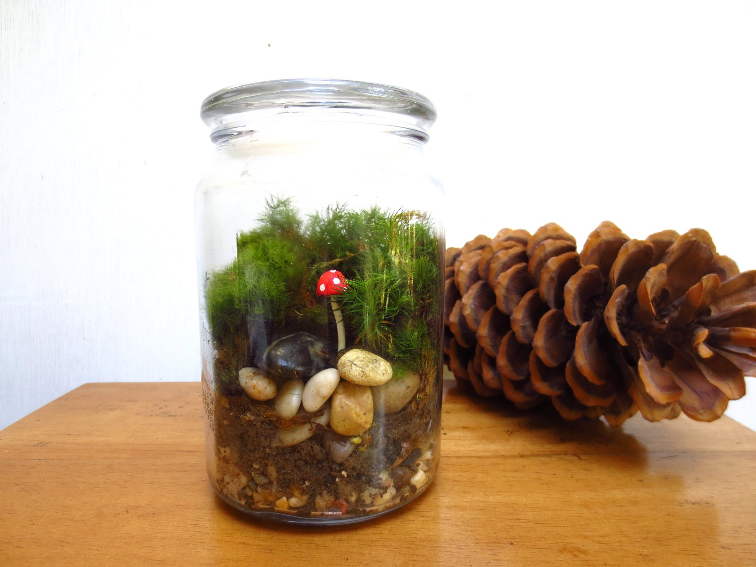 Bring the Outdoors In...Red Top Mushroom Terrarium Vibrant Moss Terrarium Indoor Garden Apartment Garden Live Moss Terrarium