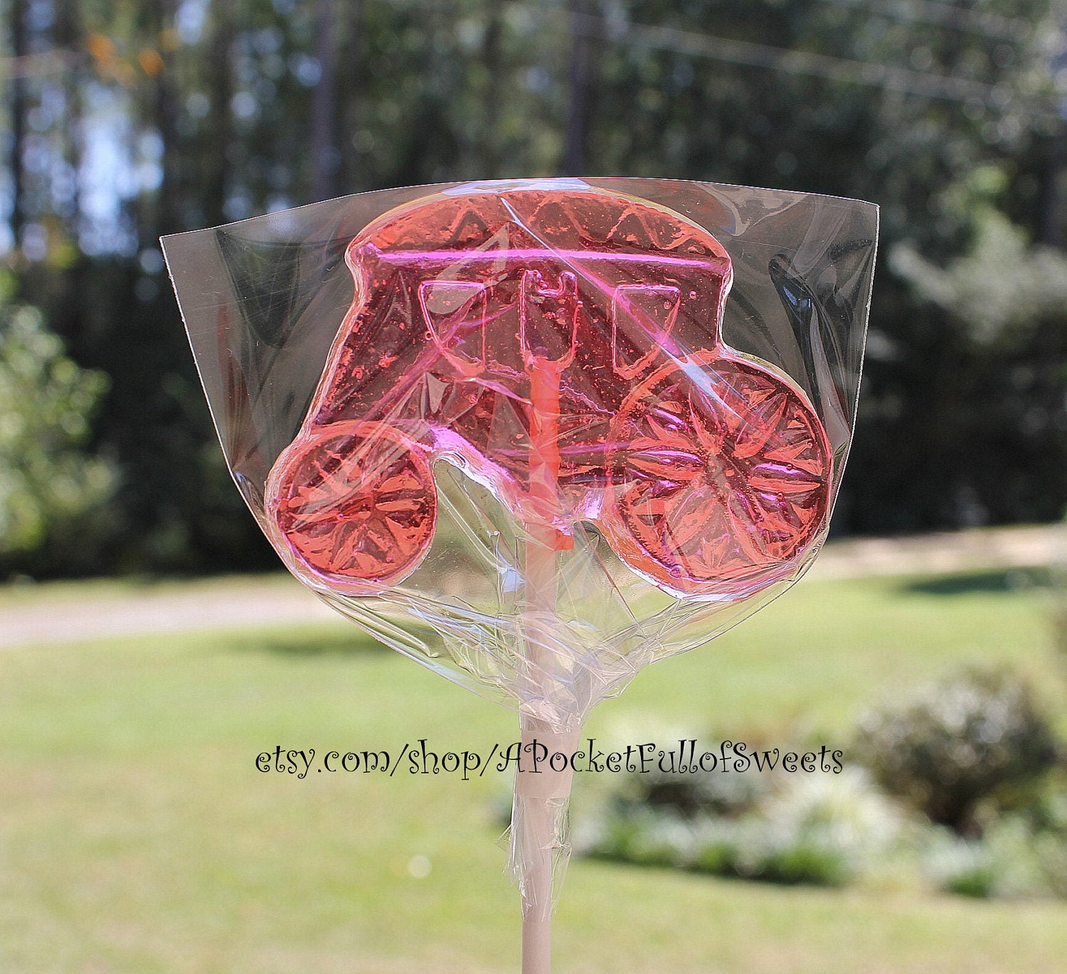 PRINCESS Birthday Party Carriage Favors Barley Sugar Hard Candy Lollipops Suckers Gifts