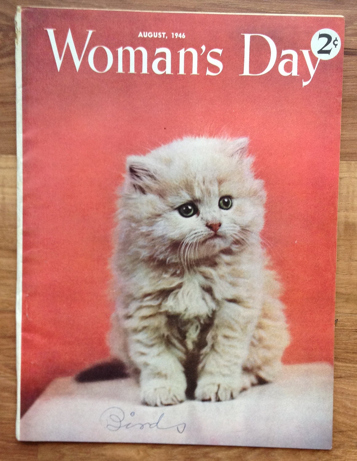 Magazine Cover Cats on Pinterest | Magazine Covers, Black Cats and Ch…